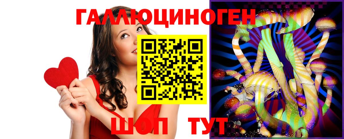 Псилоцибиновые грибы Psilocybe  Галлюциногенные грибы мицелий  Вход с VPN  Энгельс 